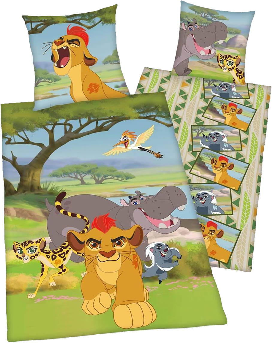File History - Lion Guard Duvet Set (908x1145), Png Download