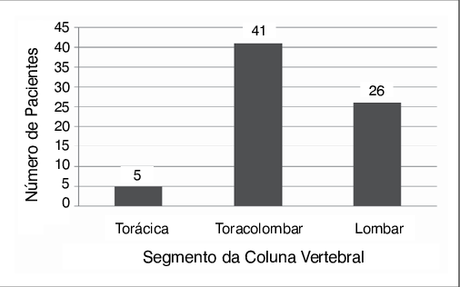 Distribuição Das Fraturas Tipo Explosão De Acordo Com - Number (506x316), Png Download