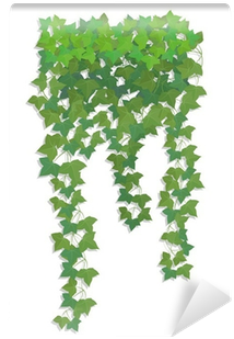 Hanging Branches Of Ivy - Kyv36 Digno Rafre ディグノ ラフレ スマホケース Au エーユー 009409 ハードケース (400x400), Png Download