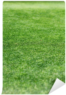 Lawn (400x400), Png Download