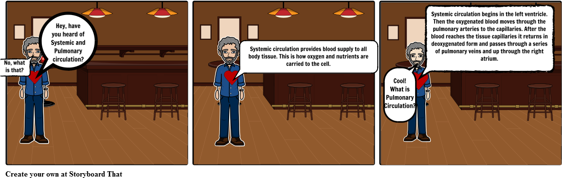 Anatomy - Cartoon (1164x385), Png Download