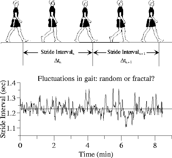 Stride Interval (602x555), Png Download