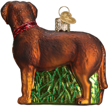 Standing Chocolate Lab Ornament - Old World Christmas Pacific Blue Tang Glass Ornament (387x387), Png Download