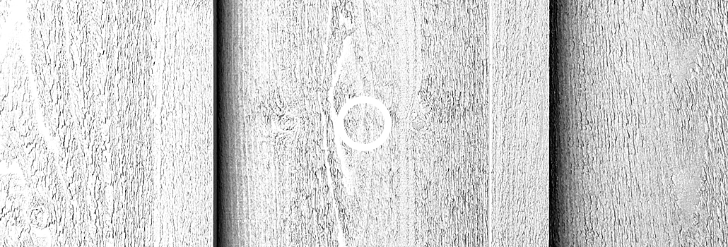 Maibec Foliage Green-6 - Monochrome (1030x350), Png Download