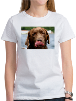 Chocolate Lab Lickin Women's Classic White T-shirt - Funny 5th Wedding Anniversary (350x350), Png Download