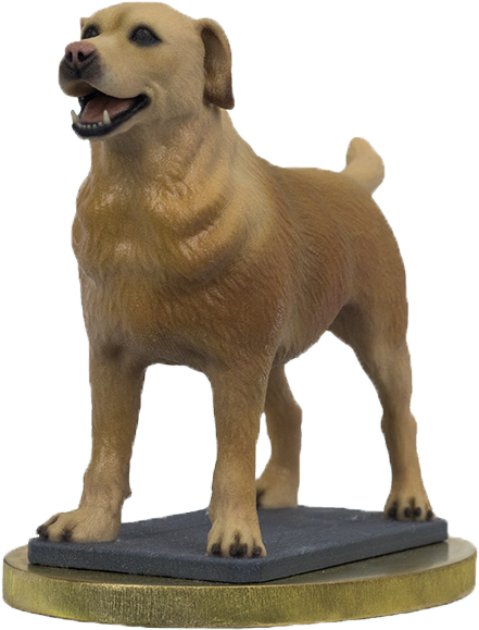 A Unique Sculpture Of Your Labrador - Labrador Retriever (577x808), Png Download