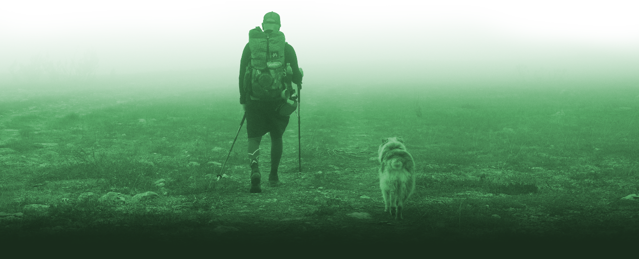 Optin Footer - Dog Walking (1280x520), Png Download