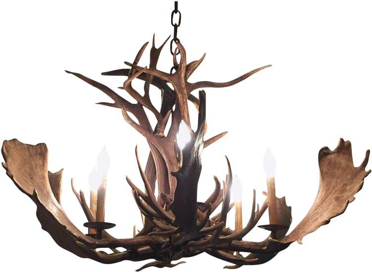 Deer And Moose Antler Chandelier - Chandelier (834x610), Png Download