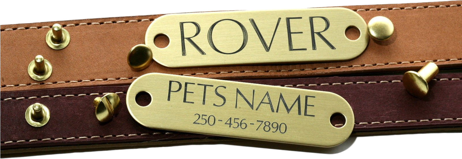Collar Tag With Rivets - Strap (1600x969), Png Download