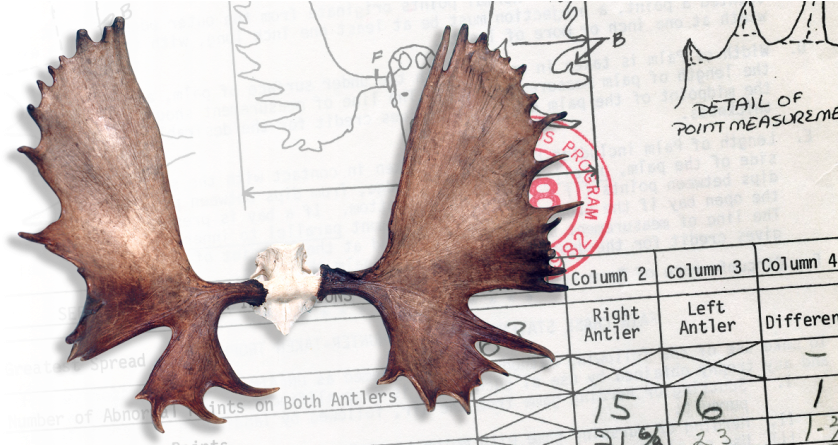B&c World's Record - Comma (848x444), Png Download