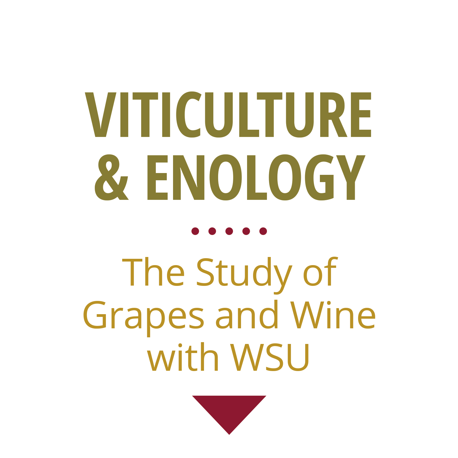How Grapevine Virus Diseases Spread - Published On Junebug Weddings 2017 (1600x1587), Png Download