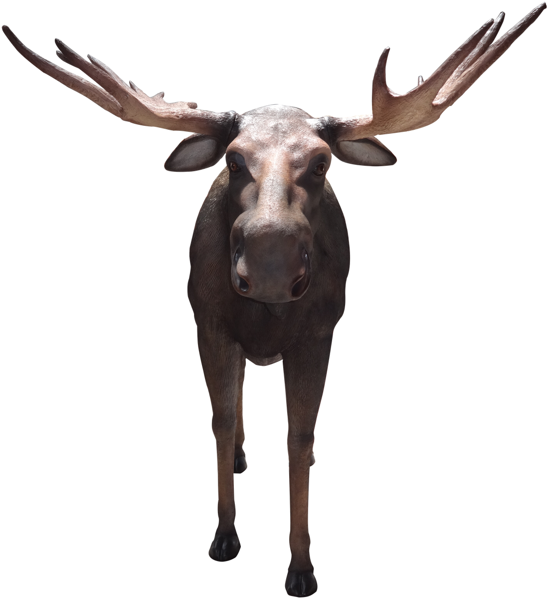 Horn (1252x1280), Png Download