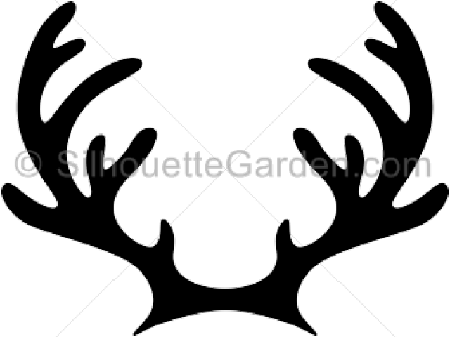 Reindeer Antlers Silhouette (640x480), Png Download