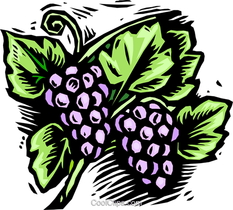 Grapes, Woodcut Style Royalty Free Vector Clip Art - Quelle Couleur De Fruit (480x433), Png Download