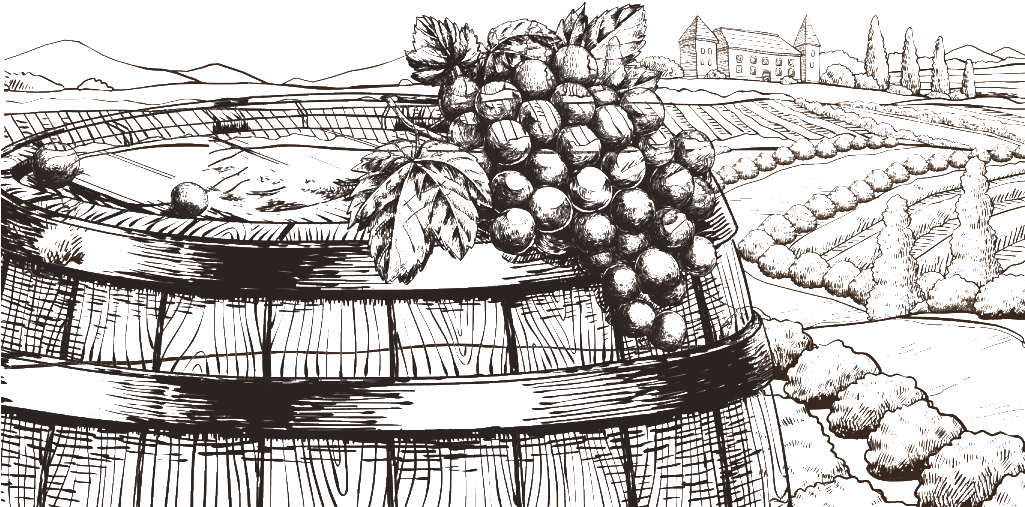 Grape Sketch - Sketch (1024x634), Png Download