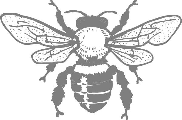 How To Set Use Grey Bee Svg Vector - Honey Bee Rectangle Sticker (600x394), Png Download