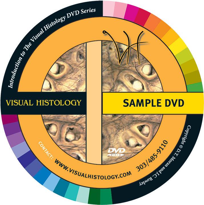 The Human Cell - Circle (750x750), Png Download