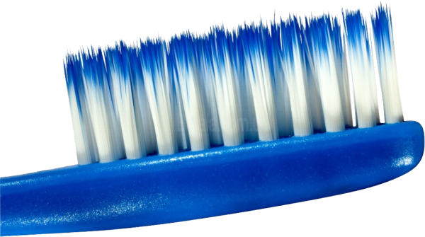 Tooth Brush Png Free Download - Cepillo De Dientes Cerda (600x335), Png Download