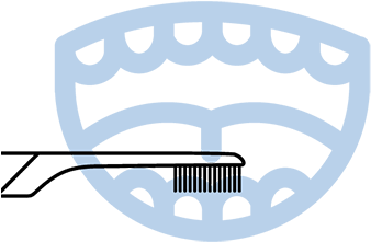 B) Tooth Size Strokes (380x380), Png Download