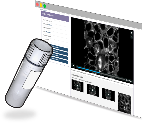 View Detailed Information And Quality Control Measures - Electronics (632x480), Png Download