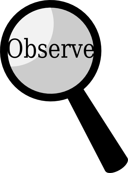 Explore Teacher Observation, Circle Time, And More - Observation Png (444x600), Png Download