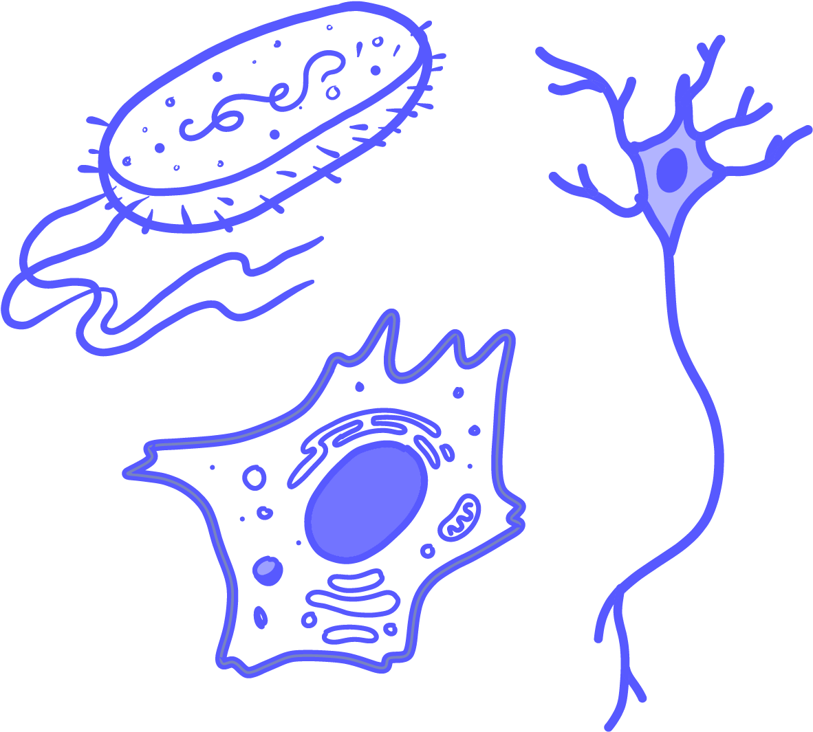 Clip Art (1200x1076), Png Download