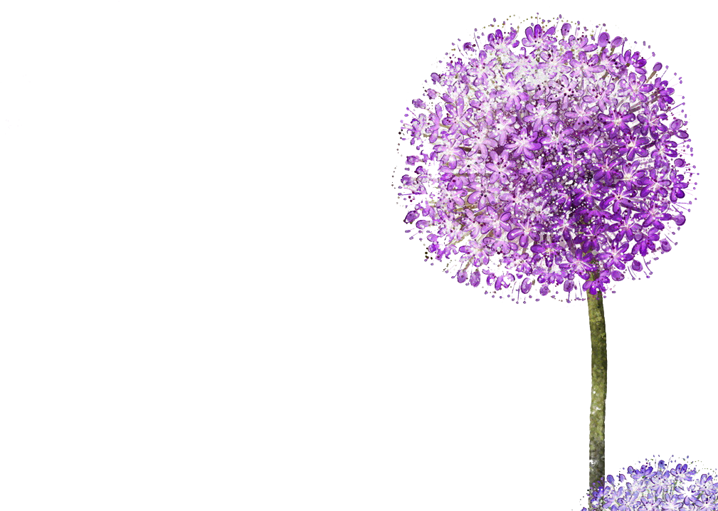 Purple (1754x1240), Png Download