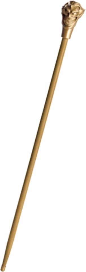 Lacrosse (600x951), Png Download