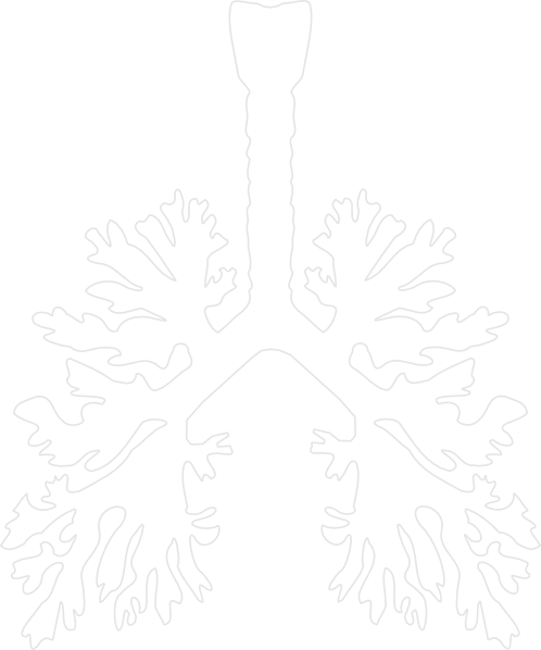Lung Lung Png - Lung Stencil (498x598), Png Download