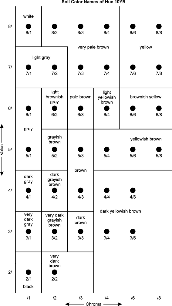 Download The Arrangement Of Color Chips According To Value And Number Full Size PNG Image