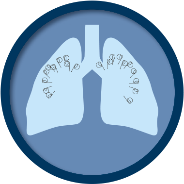 Procedure - Graphic Design (600x600), Png Download