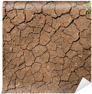 Cracked Texture Png Download - Texture Terra (400x400), Png Download