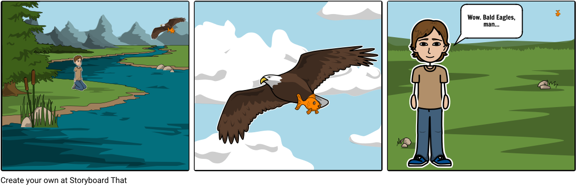 Bald Eagles, Man - Bald Eagle (1164x385), Png Download