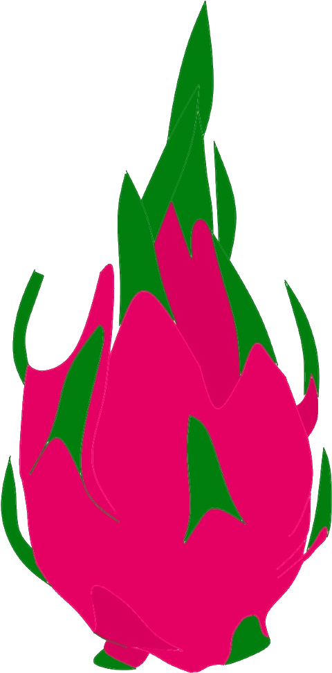 Dragonfruit - Dragon Fruit Clipart Png (520x1000), Png Download