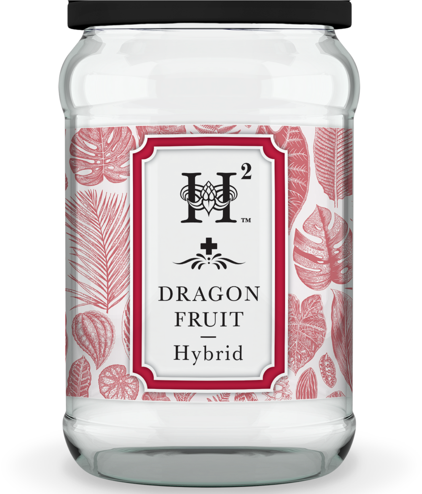 Hydropothecary (1600x1600), Png Download