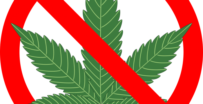 Green - Reasons Not To Smoke Marijuana: The Complete ] (700x357), Png Download