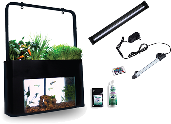 Aquasprouts Garden Bundle - Aquarium Aquaponics (586x427), Png Download
