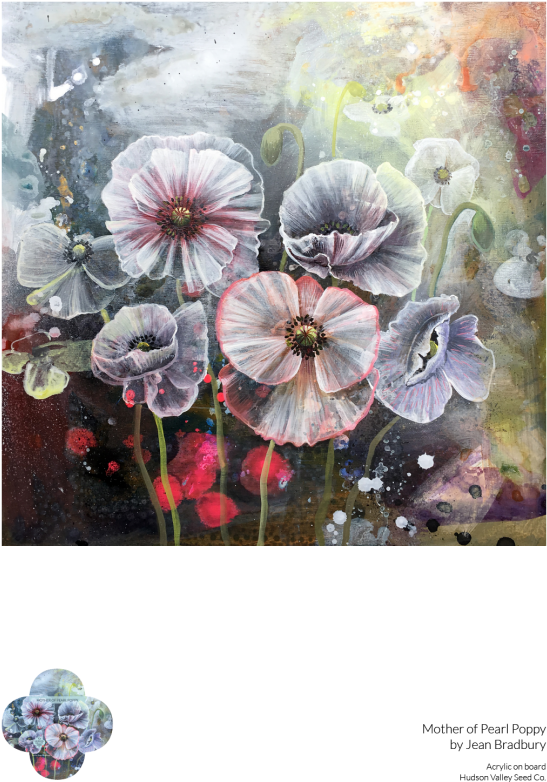 Tree Mallow (700x933), Png Download