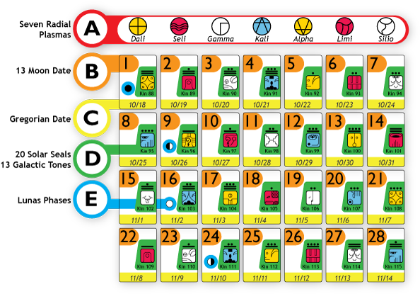 Graphic Showing A Whole Sample Moon From The 13 Moon - Moon Calendar (600x423), Png Download