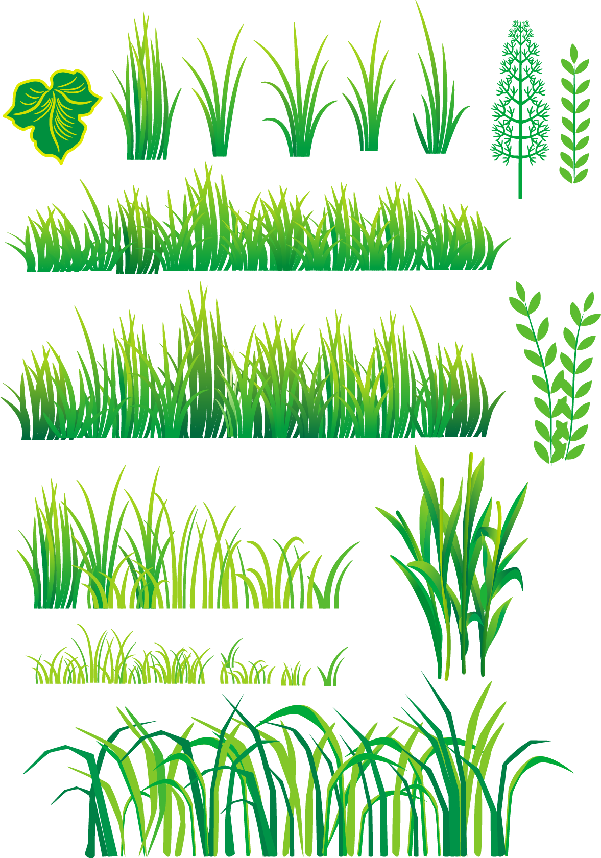 Bamboo And Grass Plant Vector - Vector Plants (1177x1680), Png Download