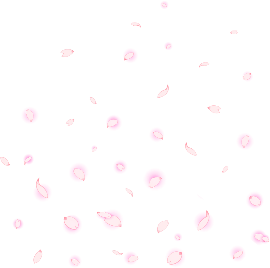 Petals Petalosfloristas Petalos Flordecerezo Cerezo - Animal (1024x1024), Png Download