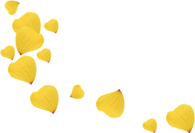 Scrap De Pétalos De Flores - Petal (700x467), Png Download