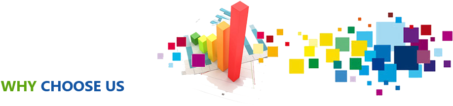 Why Choose Us - Excel Dashboards & Reports For Dummies (960x250), Png Download