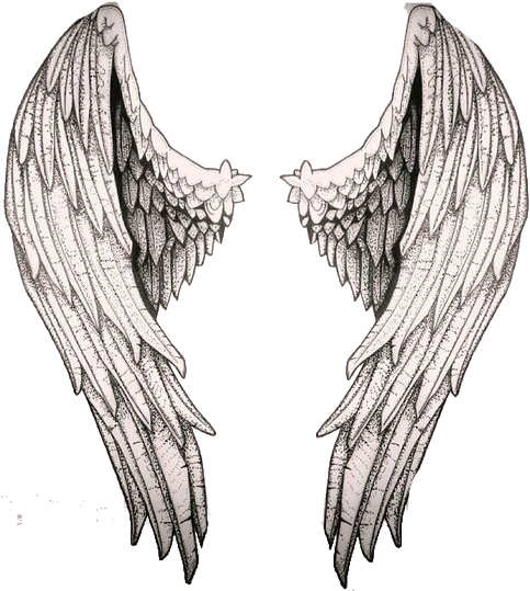 Técnicas De Dibujo, Dibujo Cuerpo, Manos Dibujo, Acuarela, - Alas De Angeles Dibujo A Lapiz (500x538), Png Download
