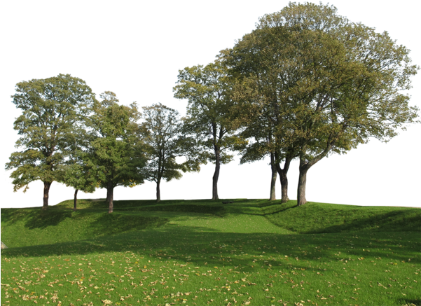 Big Trees Group - Back Ground Tree Png (600x522), Png Download
