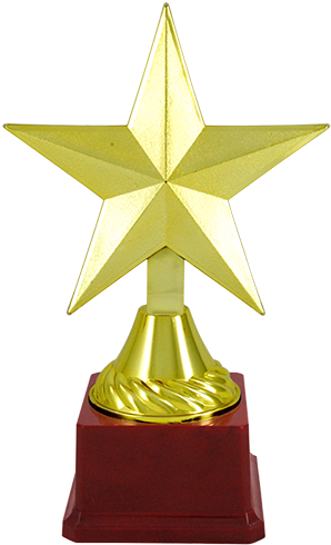 Bt-1493 Star Shaped Trophies - Mumbai (308x500), Png Download