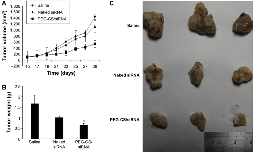 In Vivo Antitumor Effect On 4tl-bearing Breast Cancer - Breast Cancer (850x513), Png Download