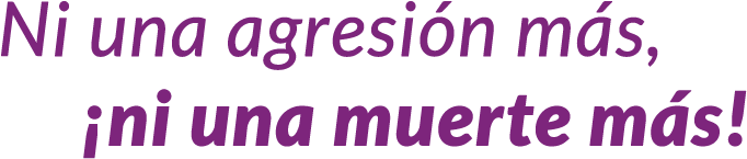 Ni Una Agresión Más, ¡ni Una Muerte Más - Parallel (1150x300), Png Download