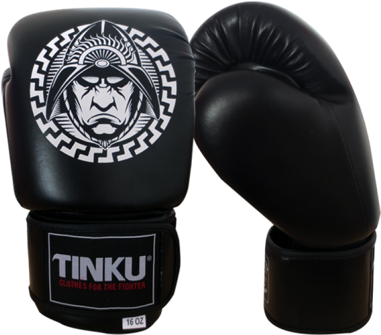 Guantes De Boxeo Negros - Illustration (800x800), Png Download