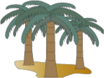 Group Of Palm Trees - Babassu (420x333), Png Download